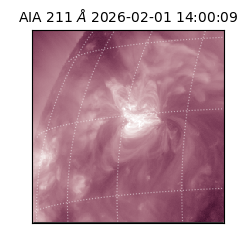 saia - 2026-02-01T14:00:09.625000