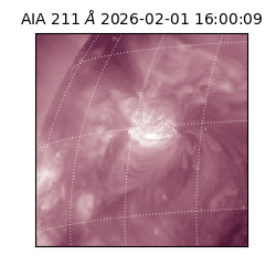 saia - 2026-02-01T16:00:09.619000