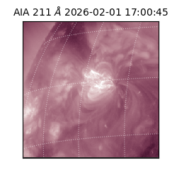 saia - 2026-02-01T17:00:45.631000