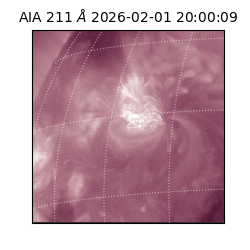 saia - 2026-02-01T20:00:09.623000