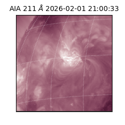 saia - 2026-02-01T21:00:33.622000