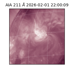 saia - 2026-02-01T22:00:09.625000