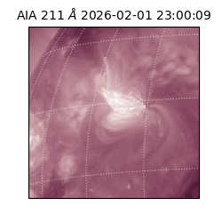 saia - 2026-02-01T23:00:09.633000