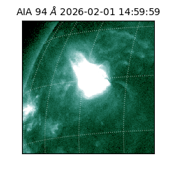 saia - 2026-02-01T14:59:59.122000