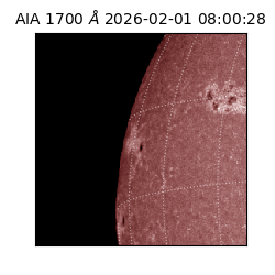 saia - 2026-02-01T08:00:28.710000