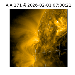 saia - 2026-02-01T07:00:21.350000