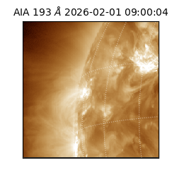 saia - 2026-02-01T09:00:04.843000