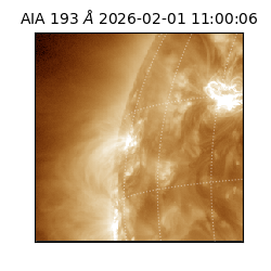 saia - 2026-02-01T11:00:06.614000