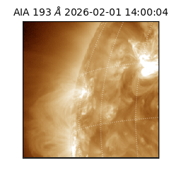 saia - 2026-02-01T14:00:04.843000