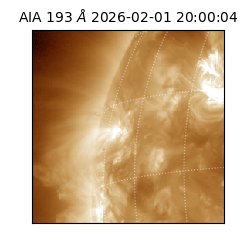 saia - 2026-02-01T20:00:04.843000