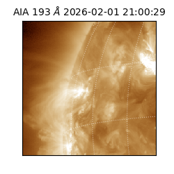 saia - 2026-02-01T21:00:29.627000