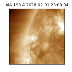 saia - 2026-02-01T23:00:04.843000