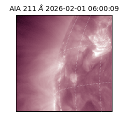 saia - 2026-02-01T06:00:09.623000