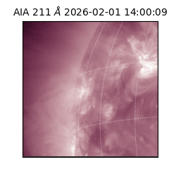 saia - 2026-02-01T14:00:09.625000