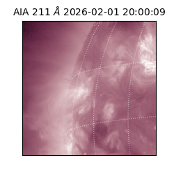 saia - 2026-02-01T20:00:09.623000