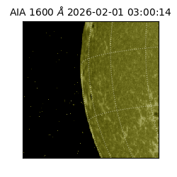 saia - 2026-02-01T03:00:14.125000