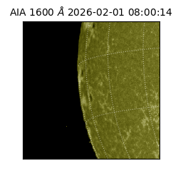 saia - 2026-02-01T08:00:14.118000