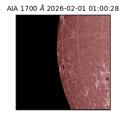 saia - 2026-02-01T01:00:28.717000