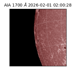 saia - 2026-02-01T02:00:28.720000