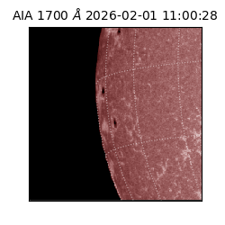 saia - 2026-02-01T11:00:28.717000