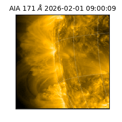 saia - 2026-02-01T09:00:09.349000