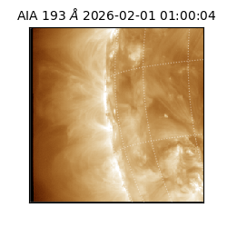 saia - 2026-02-01T01:00:04.843000