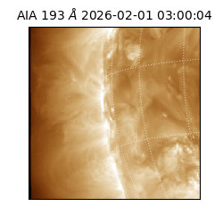 saia - 2026-02-01T03:00:04.843000