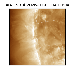 saia - 2026-02-01T04:00:04.843000