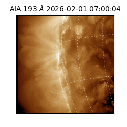 saia - 2026-02-01T07:00:04.843000