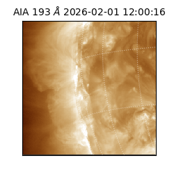 saia - 2026-02-01T12:00:16.835000