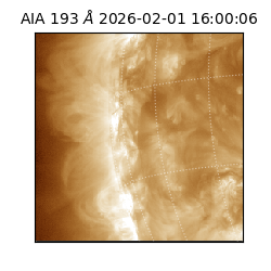 saia - 2026-02-01T16:00:06.780000