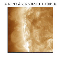 saia - 2026-02-01T19:00:16.843000