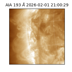 saia - 2026-02-01T21:00:29.627000