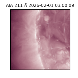 saia - 2026-02-01T03:00:09.637000