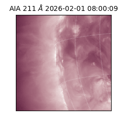 saia - 2026-02-01T08:00:09.618000