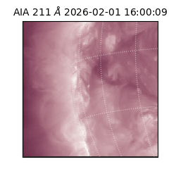 saia - 2026-02-01T16:00:09.619000