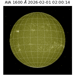 saia - 2026-02-01T02:00:14.126000