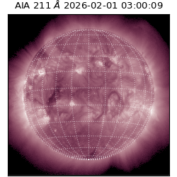 saia - 2026-02-01T03:00:09.637000