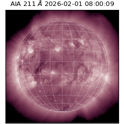 saia - 2026-02-01T08:00:09.618000