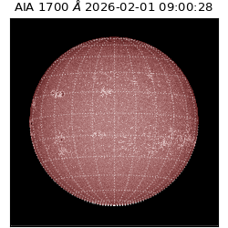 saia - 2026-02-01T09:00:28.717000