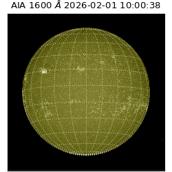 saia - 2026-02-01T10:00:38.125000