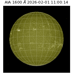 saia - 2026-02-01T11:00:14.133000