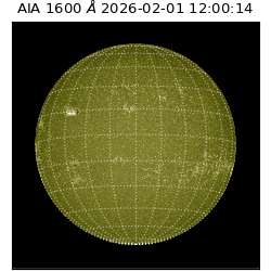 saia - 2026-02-01T12:00:14.125000