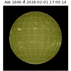 saia - 2026-02-01T17:00:14.126000