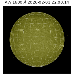 saia - 2026-02-01T22:00:14.132000