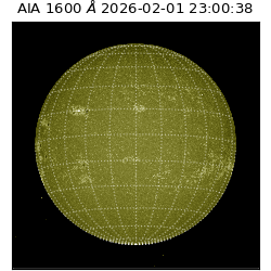 saia - 2026-02-01T23:00:38.126000