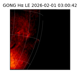 gong - 2026-02-01T03:00:42