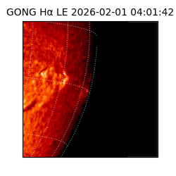 gong - 2026-02-01T04:01:42