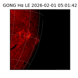 gong - 2026-02-01T05:01:42