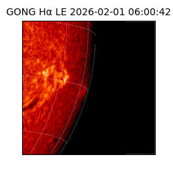 gong - 2026-02-01T06:00:42
